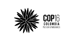 Logotipo de la COP 16 Colombia - B Greenly